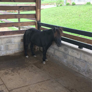 Meet your Posher, Marilyn